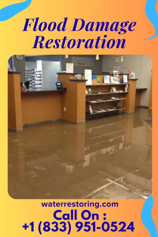 Flood Damage Restoration in Greensboro, FL